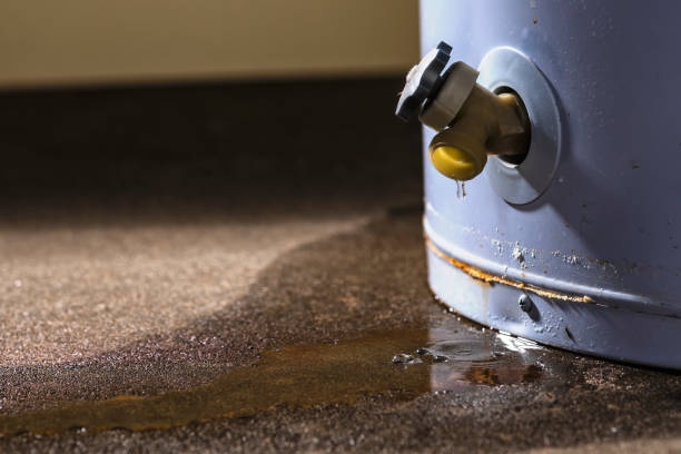  Grove City, FL Water damage restoration Pros