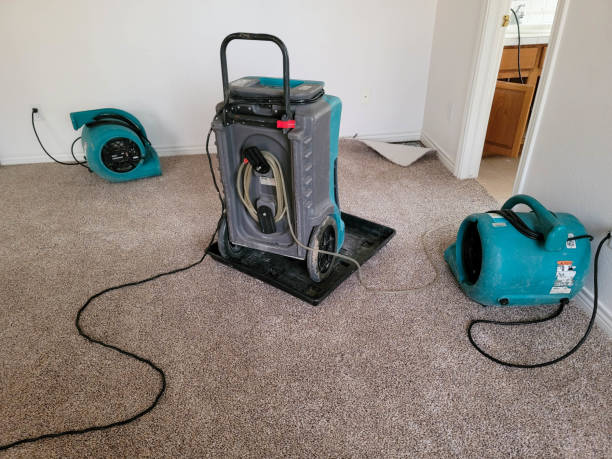 Best Water damage restoration near me  in Grove City, FL