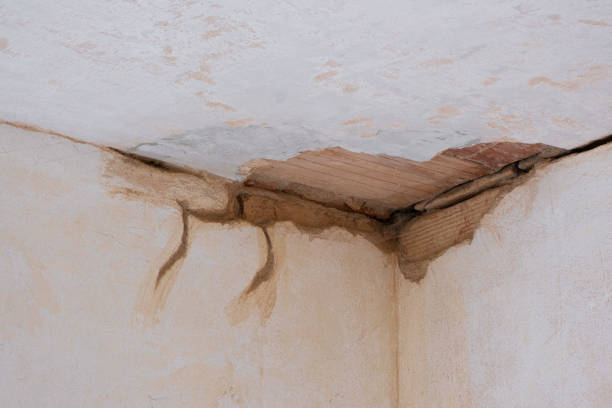 Reliable Grove City, FL Water damage restoration Solutions