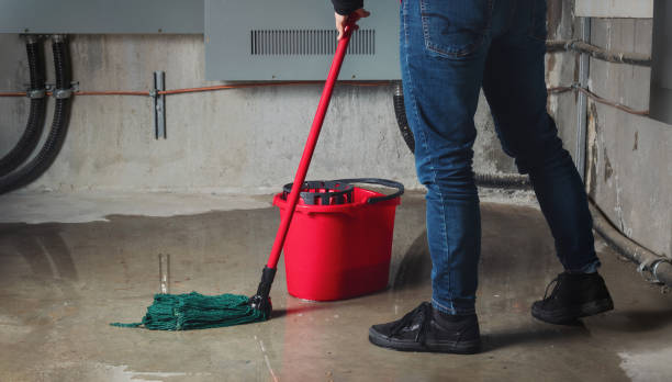 Best Water damage repair service  in Grove City, FL