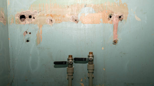 Best 24-hour water damage restoration  in Grove City, FL