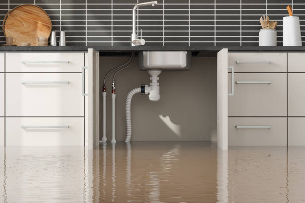Best Water damage restoration experts  in Grove City, FL