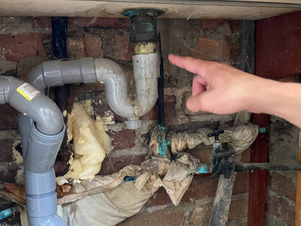 Best Flood restoration services  in Grove City, FL