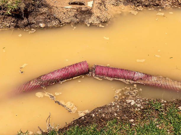 Water damage restoration insurance claims in Grove City, FL