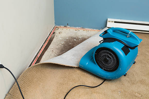 Best Emergency water damage restoration  in Grove City, FL